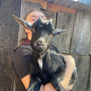 Meet your Posher, Dallas